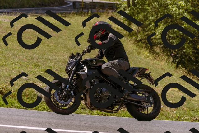 202508091130-_DSC5938_d1_