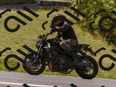 202508091130-_DSC5938_d1_