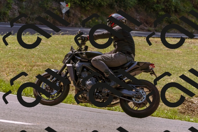 202508091130-_DSC5940_d1_