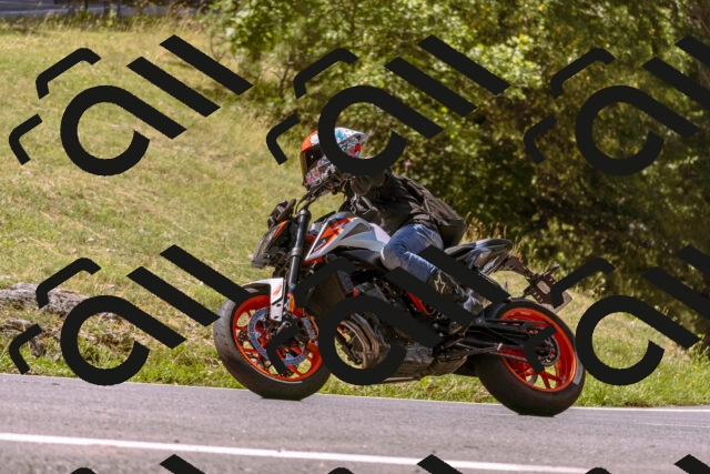 202508091131-_DSC5941_d1_