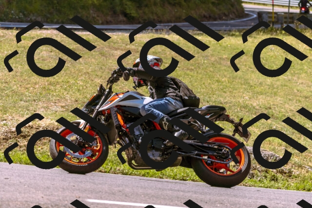 202508091131-_DSC5942_d1_