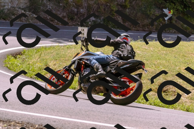 202508091131-_DSC5944_d1_