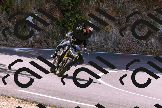 202508091131-_DSC5945_d1_