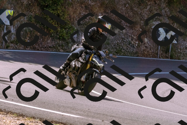 202508091131-_DSC5946_d1_