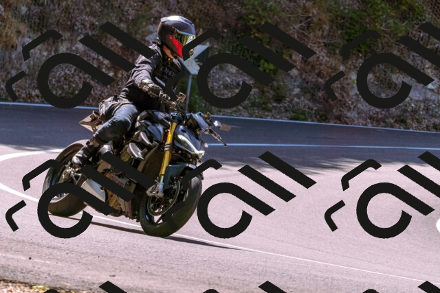 202508091131-_DSC5947_d1_