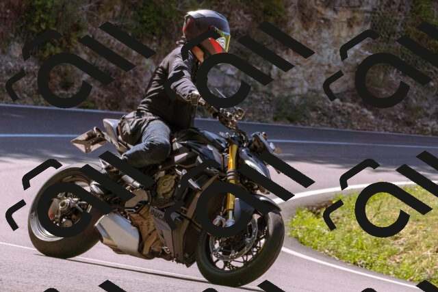 202508091131-_DSC5948_d1_