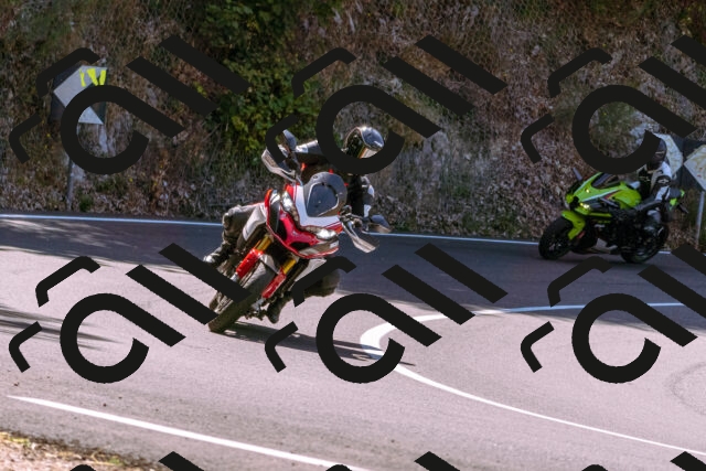 202508091131-_DSC5951_d1_