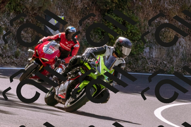 202508091132-_DSC5954_d1_