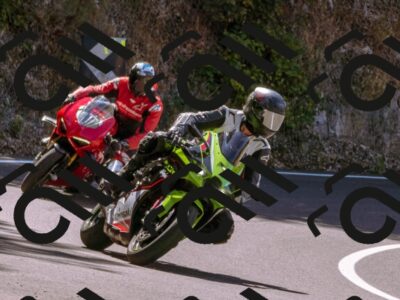 202508091132-_DSC5954_d1_