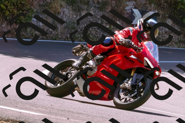 202508091132-_DSC5956_d1_