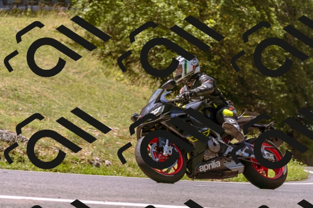 202508091132-_DSC5965_d1_