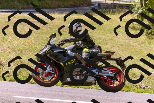 202508091132-_DSC5966_d1_