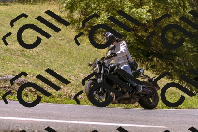 202508091132-_DSC5969_d1_