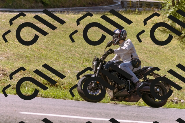 202508091132-_DSC5970_d1_