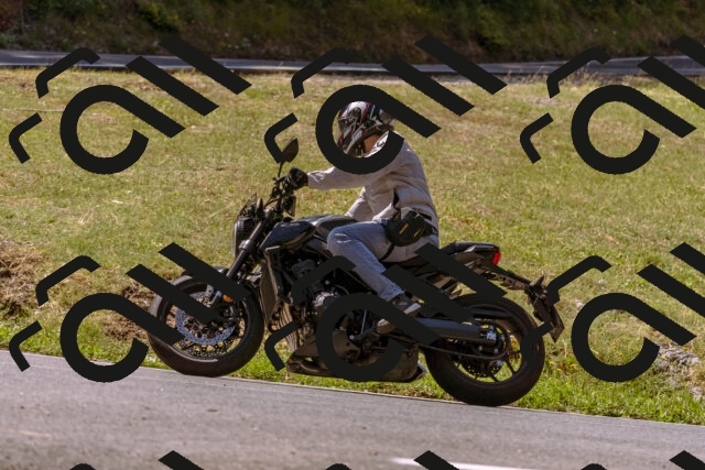 202508091132-_DSC5971_d1_