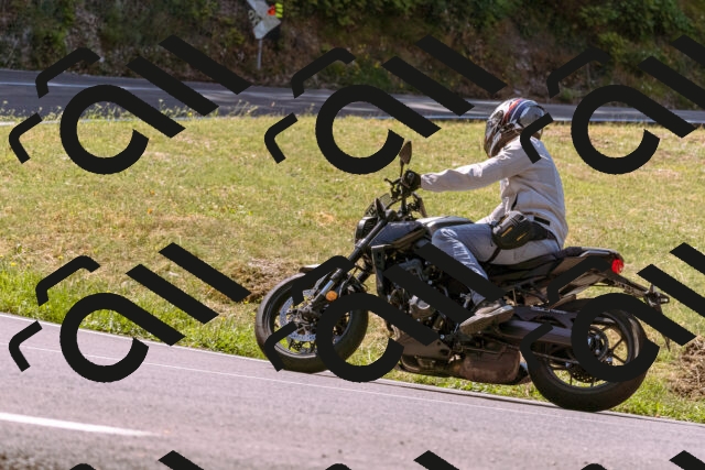 202508091132-_DSC5972_d1_