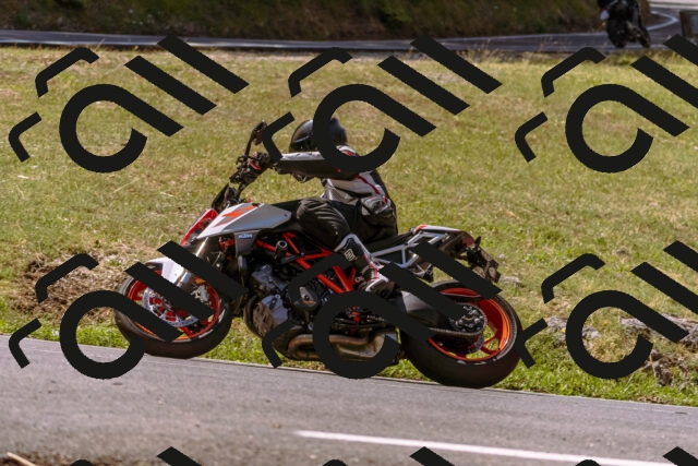 202508091132-_DSC5978_d1_