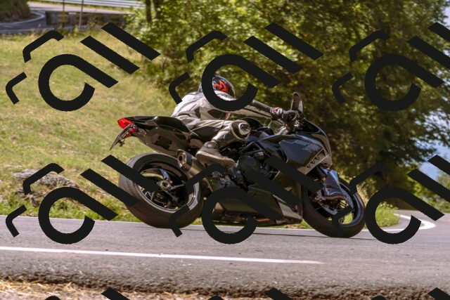 202508091136-_DSC5982_d1_