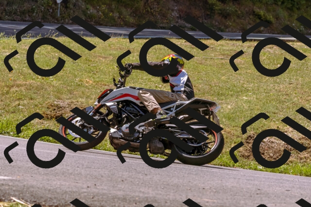 202508091138-_DSC5985_d1_