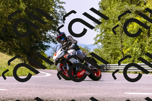 202508091138-_DSC5986_d1_