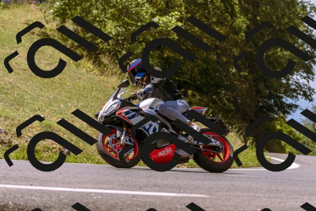 202508091138-_DSC5987_d1_