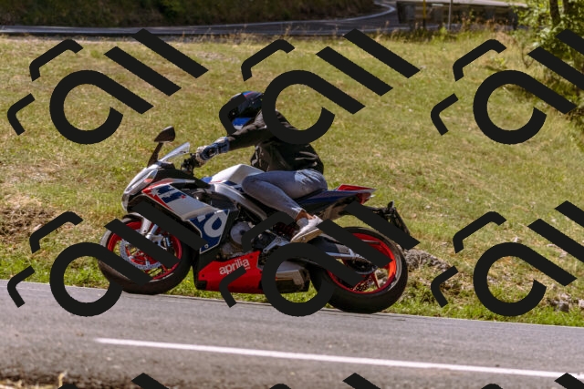 202508091138-_DSC5988_d1_