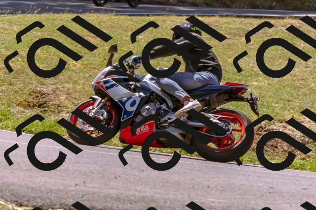 202508091139-_DSC5989_d1_