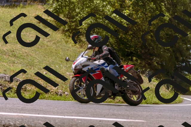 202508091140-_DSC5990_d1_