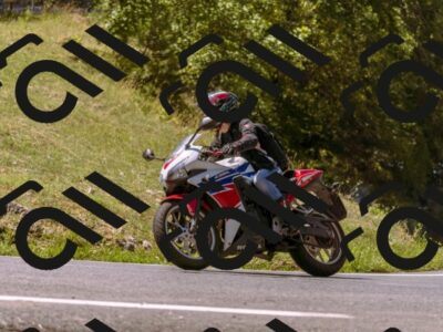 202508091140-_DSC5990_d1_