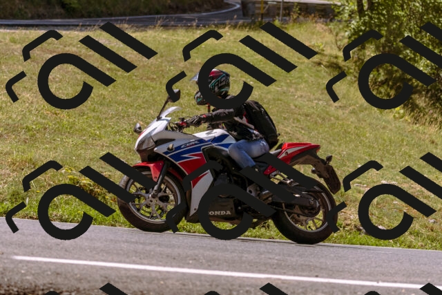 202508091140-_DSC5991_d1_