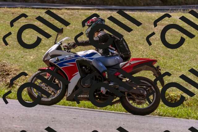 202508091140-_DSC5992_d1_