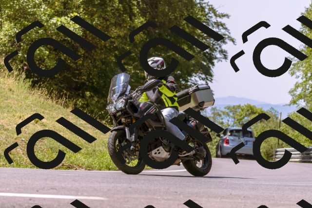 202508091142-_DSC5995_d1_