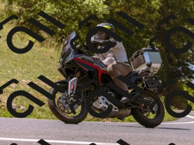 202508091142-_DSC5997_d1_