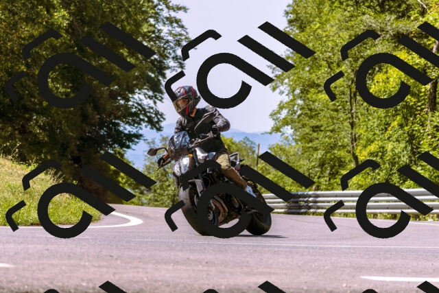 202508091142-_DSC6001_d1_