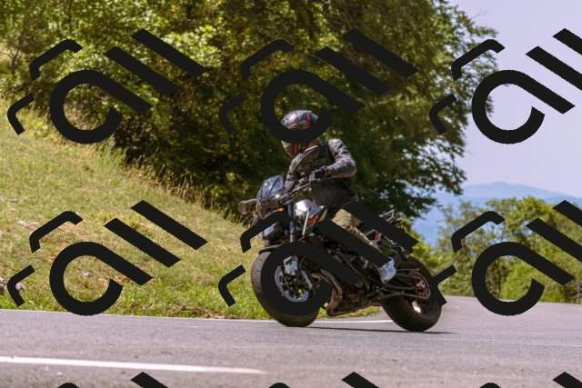 202508091142-_DSC6002_d1_