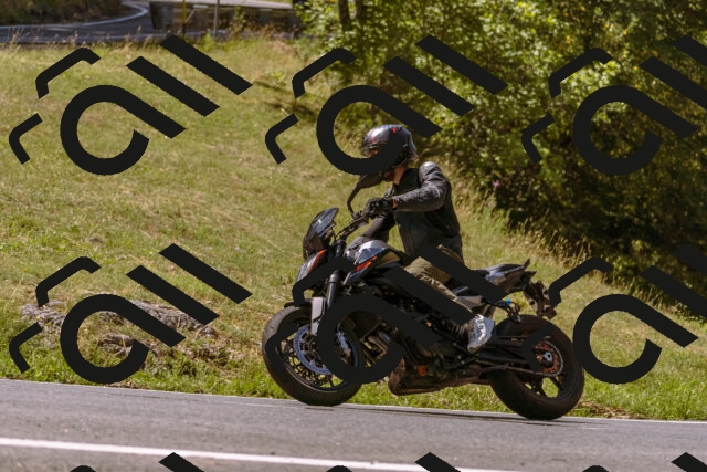 202508091142-_DSC6003_d1_