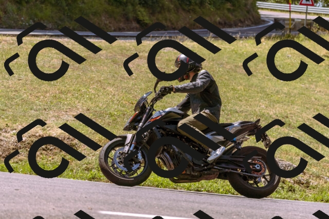 202508091142-_DSC6004_d1_