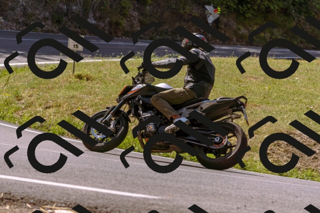 202508091142-_DSC6006_d1_