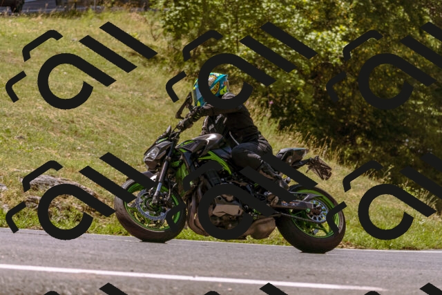 202508091144-_DSC6010_d1_