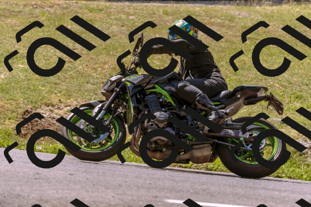 202508091144-_DSC6011_d1_