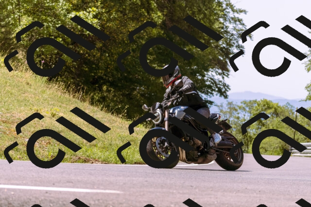 202508091144-_DSC6012_d1_