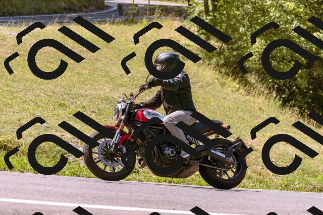 202508091144-_DSC6017_d1_