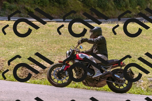 202508091144-_DSC6018_d1_