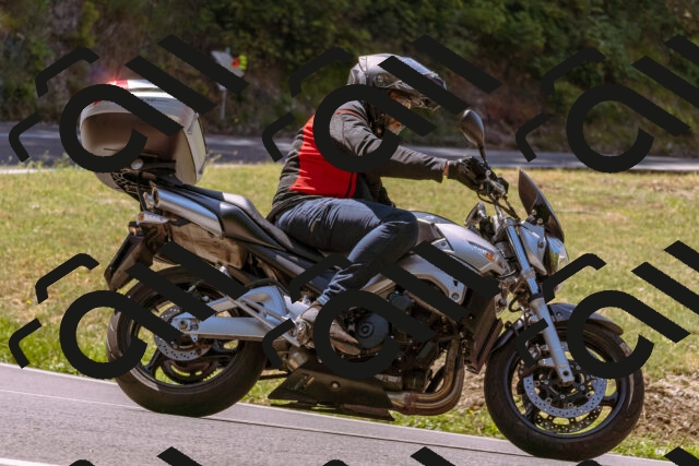 202508091144-_DSC6019_d1_