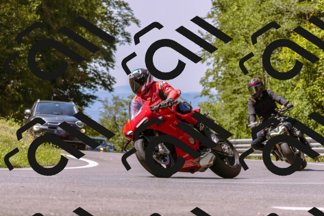 202508091146-_DSC6021_d1_