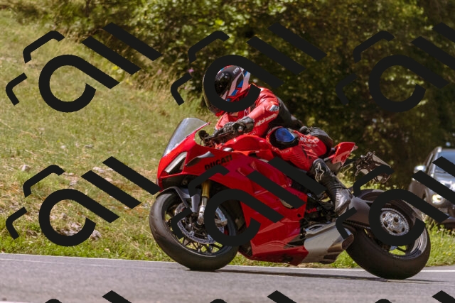 202508091146-_DSC6022_d1_