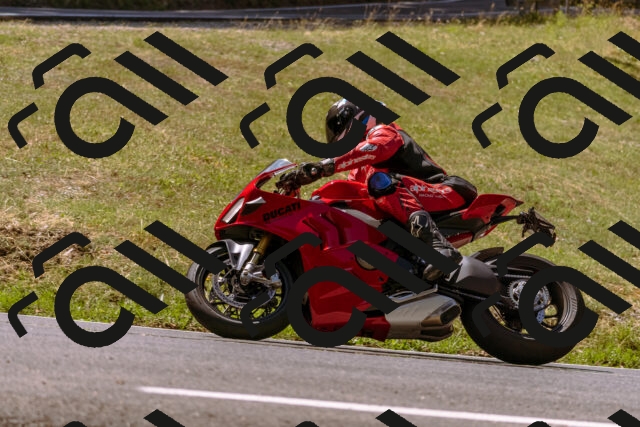 202508091146-_DSC6023_d1_