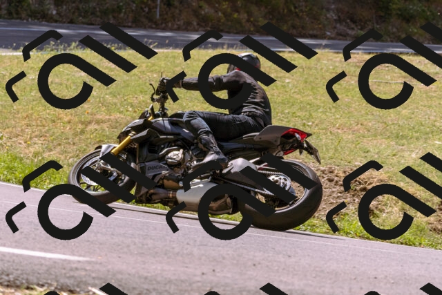 202508091146-_DSC6025_d1_