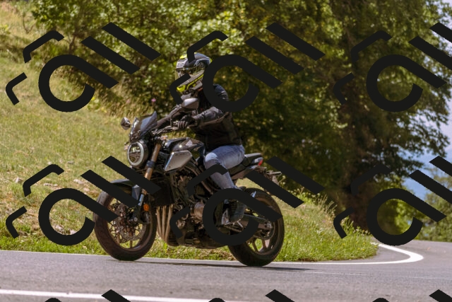 202508091150-_DSC6042_d1_