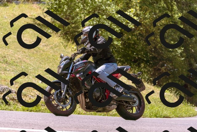 202508091150-_DSC6044_d1_